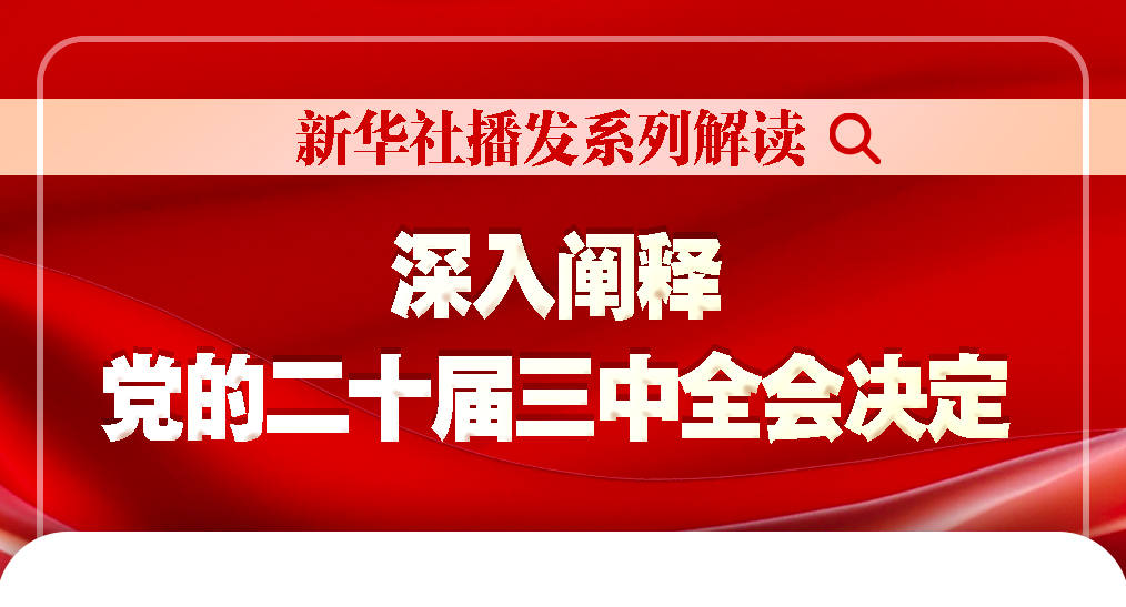 2024年11月19日 第22页