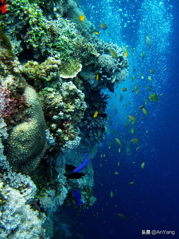 拾美海域最新信息🌊探秘那片神秘海域的惊喜变化！