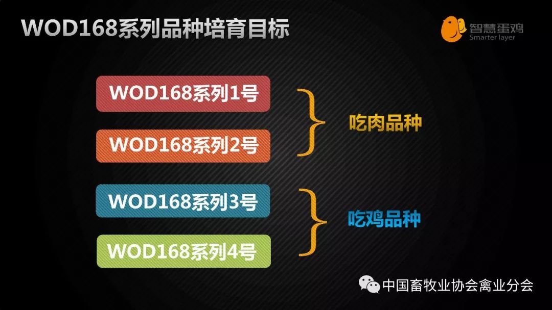 2024新澳门免费资料内部,精准分析实践_GMH79.444愉悦版