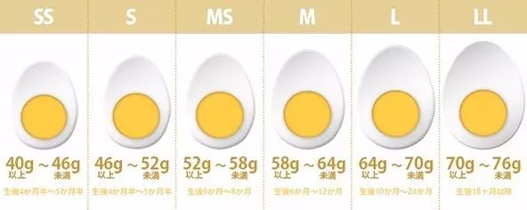 鸡蛋里的新篇章，2016最新鸡蛋执行标准的小故事