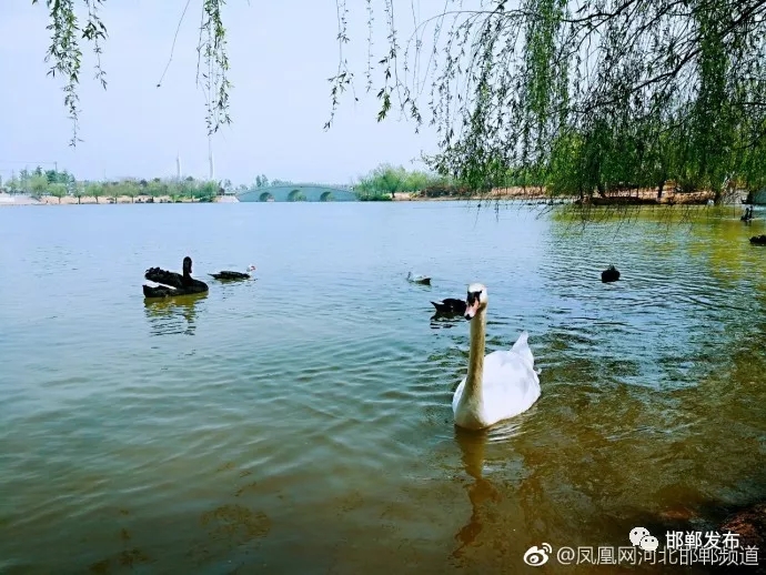 最新广平东湖小区售价，一次探索自然美景的旅行之旅