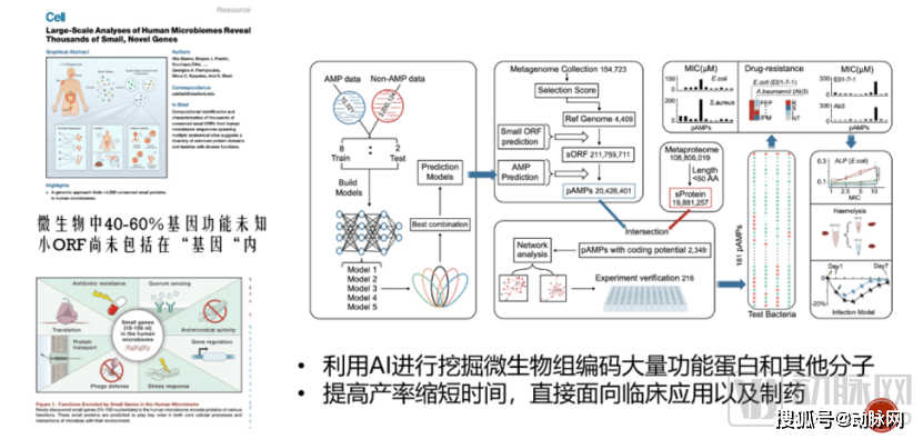 澳彩资料免费资料大全,数据驱动方案_职业版51.718