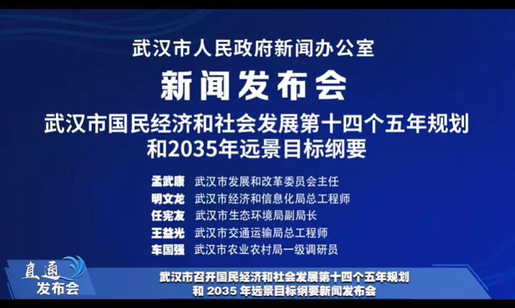 武汉最新一例，全面解读与观点阐述