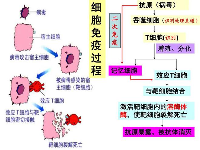 2024年12月17日 第10页