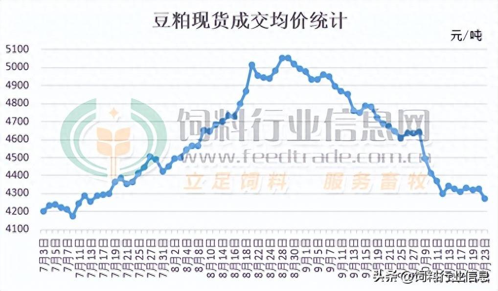 黄海豆粕价格行情与一段温馨的友情故事