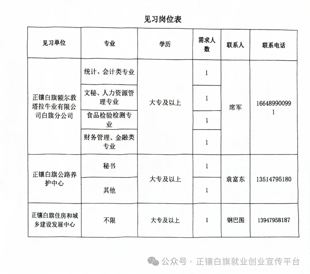 巴林左旗招聘信息获取与应聘全攻略——初学者与进阶用户指南