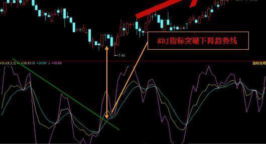 2024年12月23日 第4页