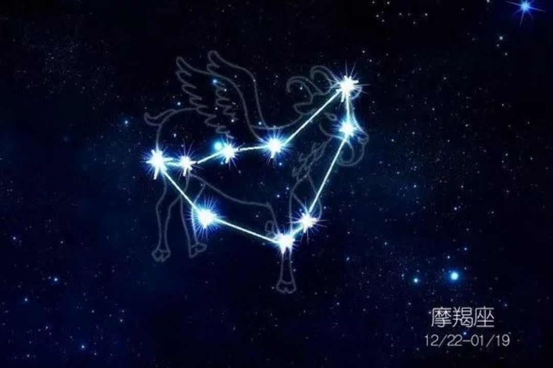 摩羯座明星，星光下的坚韧与执着