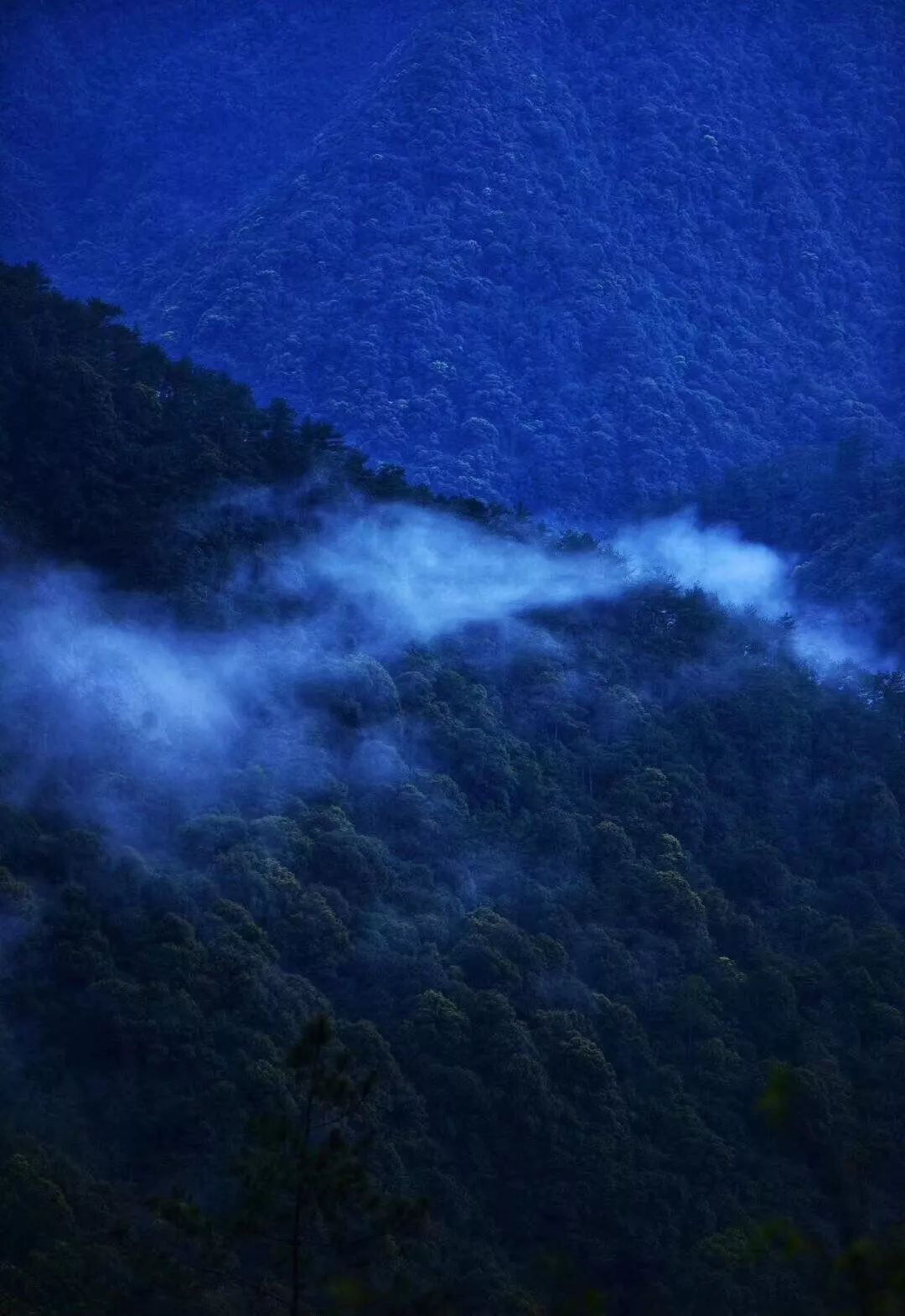 善心汇最新动态，一场自然美景的探索之旅