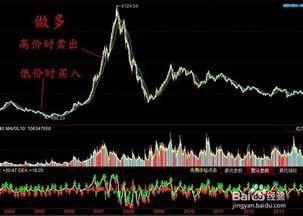 股票意思是什么——初学者入门指南