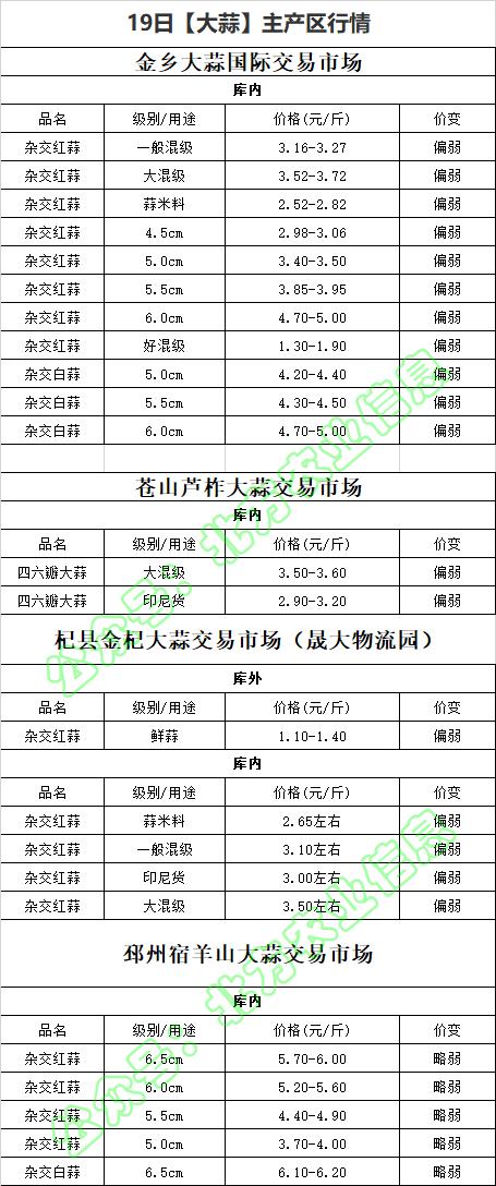 今日鲜蒜价格最新行情，市场走势分析