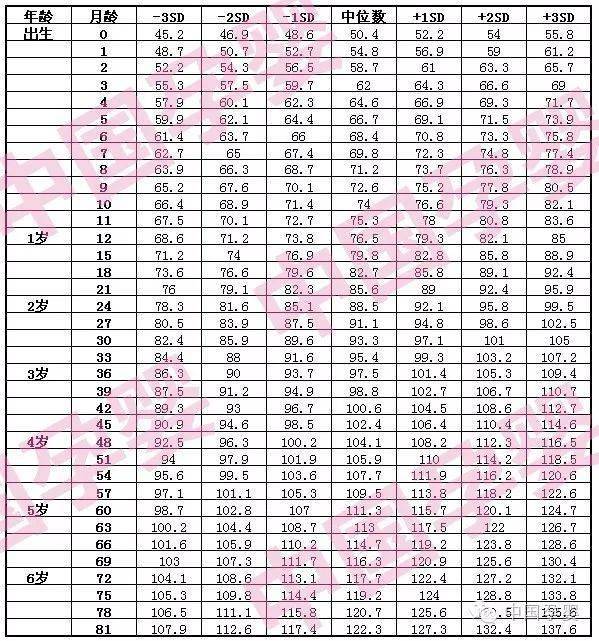 2025年1月6日 第13页