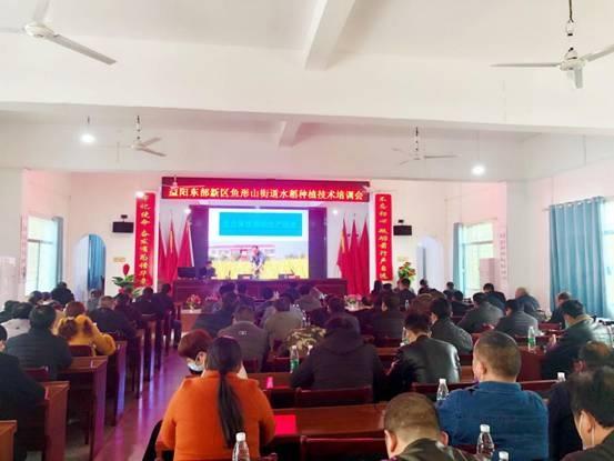 鱼形山街道最新资讯，观点阐述与分析